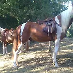 Agro Do Souto, - Completa Villa *