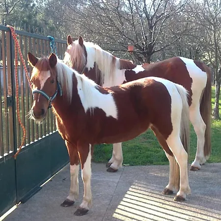 Agro Do Souto, - Completa Villa *