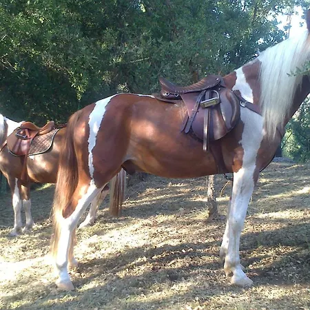 Agro Do Souto, - Completa Villa *