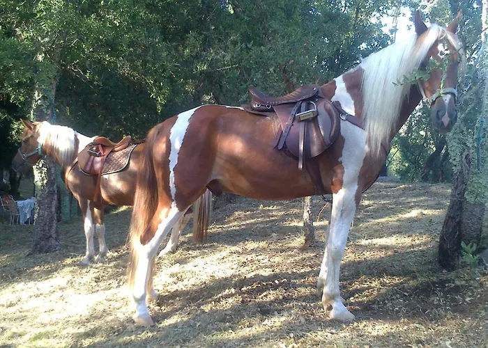 Agro Do Souto, - Completa 别墅 *