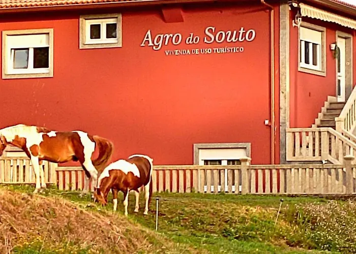 וילה Agro Do Souto, - Completa נויה